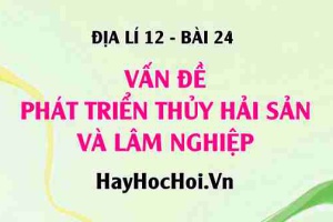 Vấn đề phát triển thủy hải sản và lâm nghiệp: Điều kiện phát triển ngành Thủy sản và Vai trò ngành Lâm nghiệp - Địa lí 12 bài 24